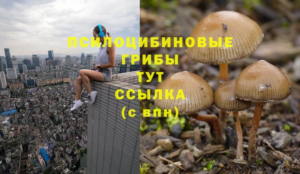 крисы Навашино