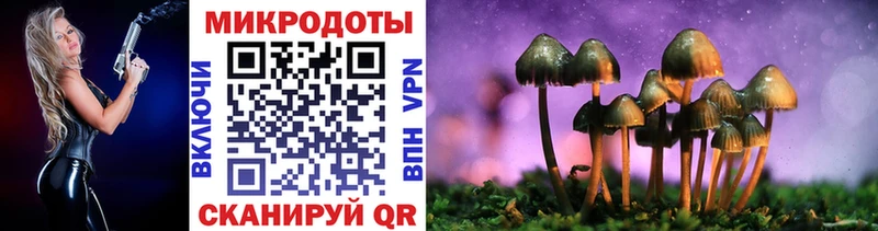 Псилоцибиновые грибы прущие грибы  как найти наркотики  Полысаево 