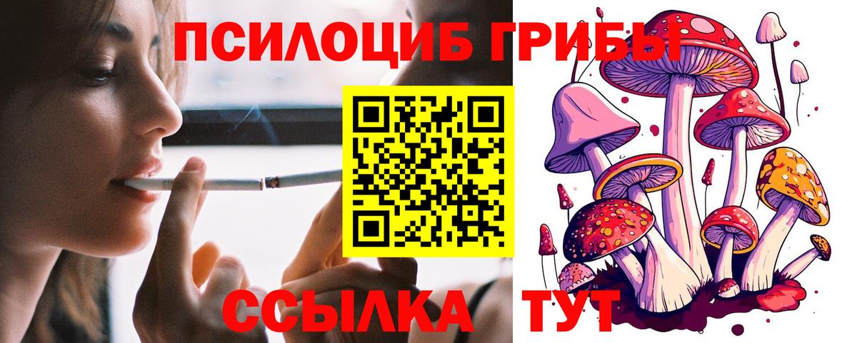 Полысаево  Галлюциногенные грибы Cubensis  Вход с VPN 